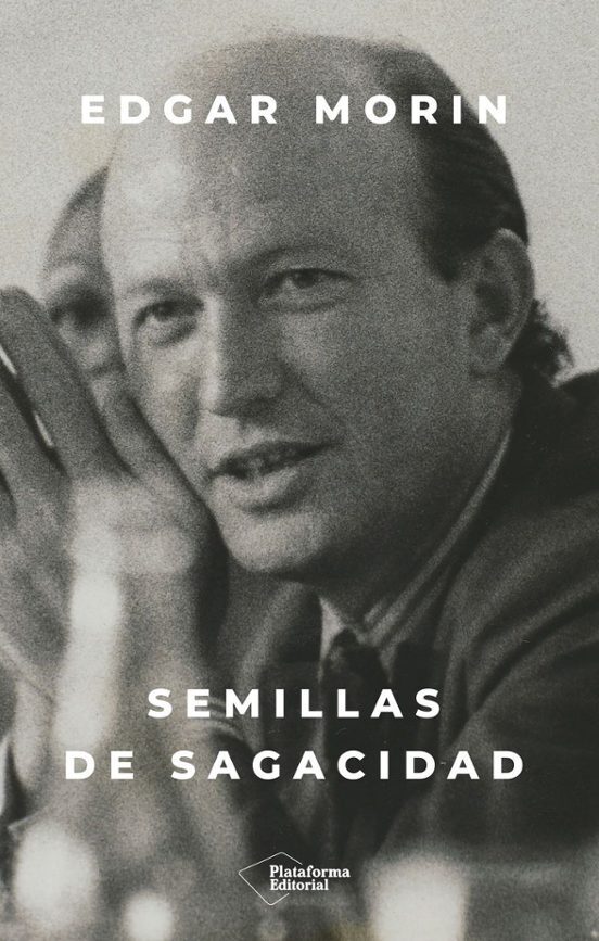 SEMILLAS DE SAGACIDAD 